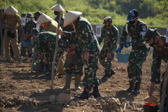 Andalkan Bios 44, Kodim 0610/Sumedang Gelar Demplot