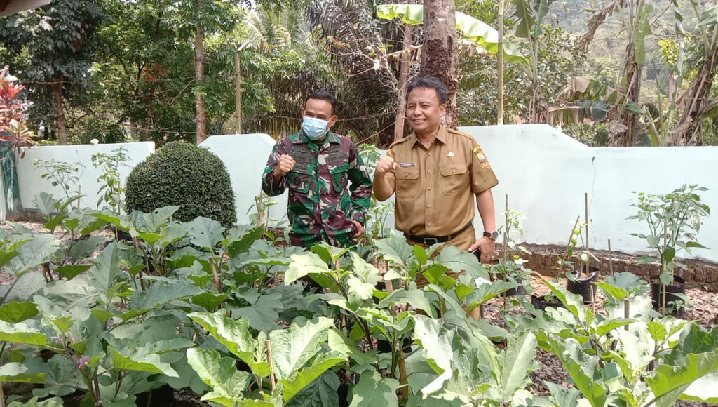 Lawan Kesulitan Ekonomi, Kodim Ciptakan Kebun 4.610