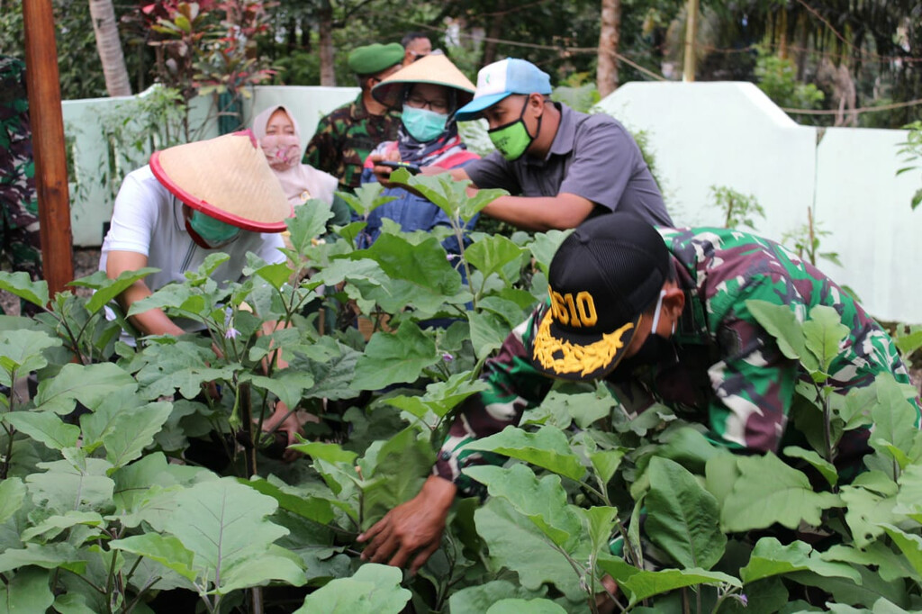 Bupati Ajak Masyarakat Optimalkan Lahan Kosong