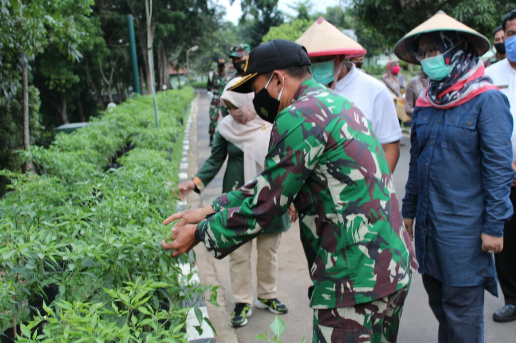 Bupati Ajak Masyarakat Optimalkan Lahan Kosong