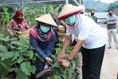 Bupati Ajak Masyarakat Optimalkan Lahan Kosong