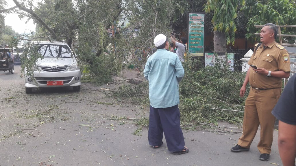 Pohon Tumbang di Jalan Geusan Ulun, 2 Mobil Jadi Korban