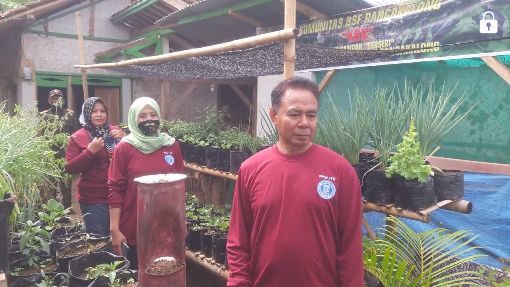 Budidaya Magot, Solusi UMKM Rancakalong di Tengah Pandemi