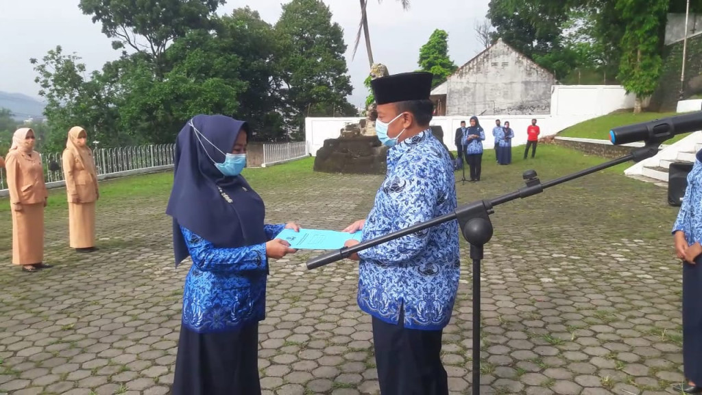 HUT ke-49 Korpri: Tanam 1000 Pohon Hingga Bagi-bagi Sembako