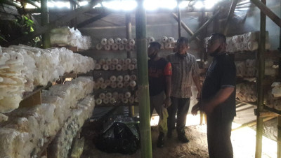 Begini Kreativitas ‘Remaja Jamur’ Ala Pasir Dogdog