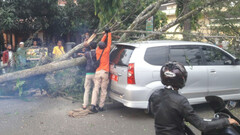 Pohon Tumbang Di Jalan Geusan Ulun, 2 Mobil Jadi Korban