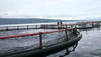 Riwayat Keramba Jaring Apung 