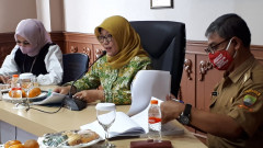 Dekranasda: Banyak Program Gagal Gegara Pandemi