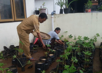 Inovasi Kesbangpol: Tanam Iles-iles Di Halaman Kantor