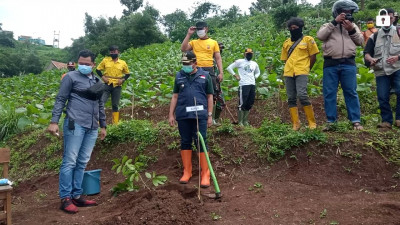 Forkopimda Sumedang Gelar Aksi Reboisasi Di Zona Merah