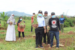 Kodim 0610 Panen Bawang Merah Perdana