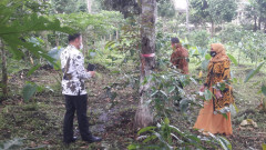 Disdik Jabar Monitor ‘SMK Kopi’ Sumedang
