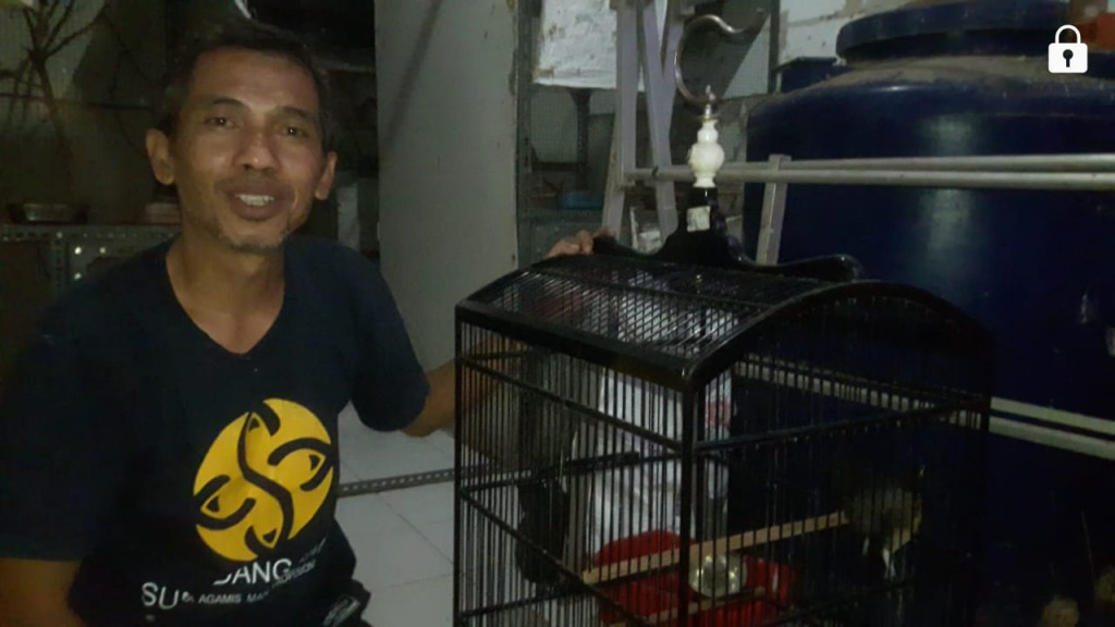 Kisah Sukses Peternak Murai Batu Jatihurip