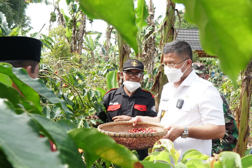 Poktan Maju Mekar Pasarkan Kopi Hingga Korsel