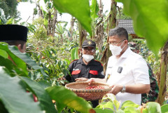 Poktan Maju Mekar Pasarkan Kopi Hingga Korsel