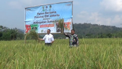 Kerja Sama Antarwilayah, Anies Baswedan Sambangi Sumedang 