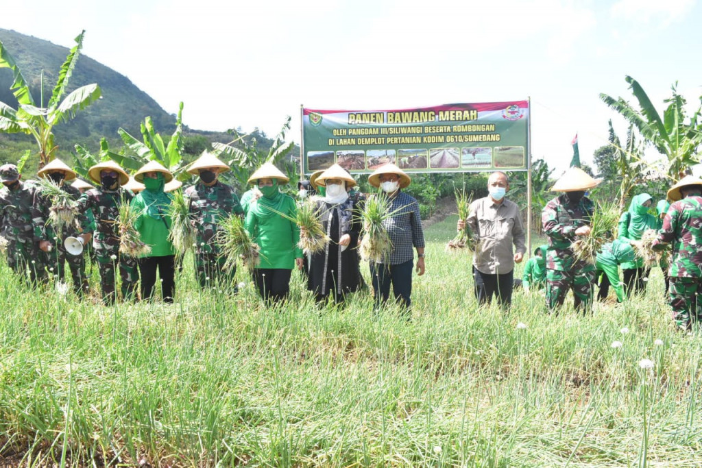 Demplot Ala Kodim 0610: dari 1 Jadi 78 Kilogram