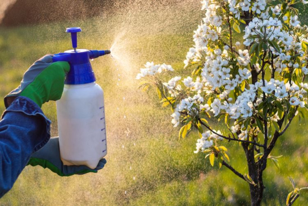 7 Bahan Alami yang Bisa Dijadikan Pembasmi Hama