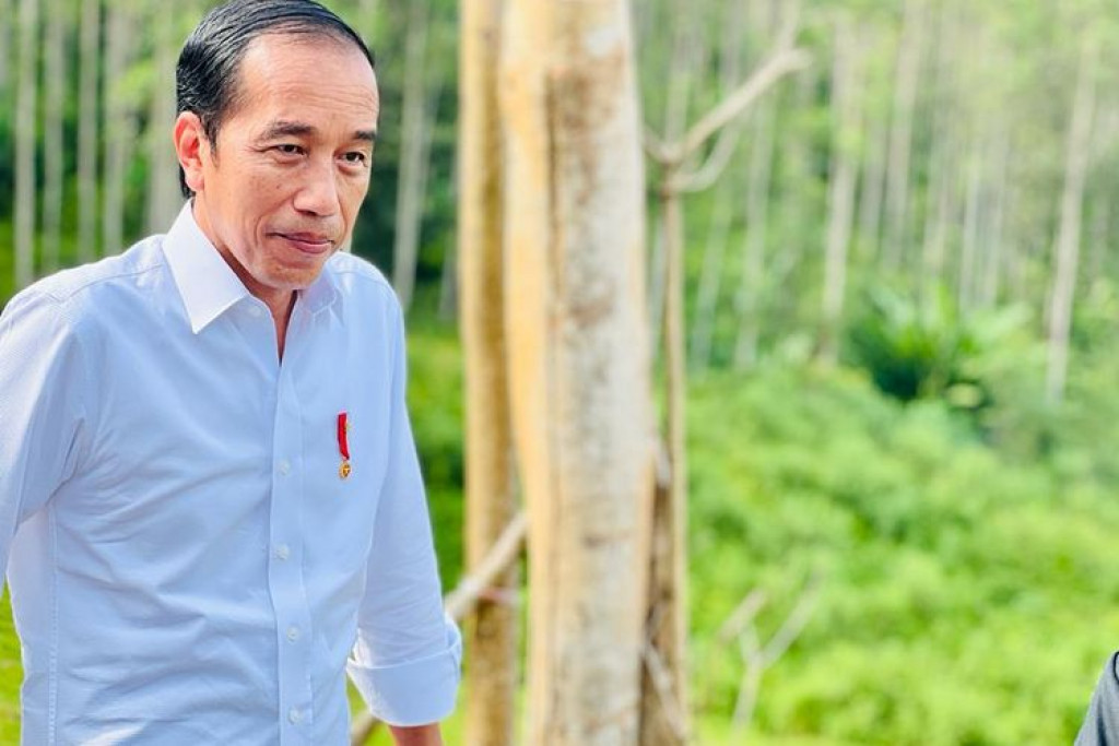 Presiden Jokowi Ingin IKN Jadi Tuan Rumah Olimpiade 2036