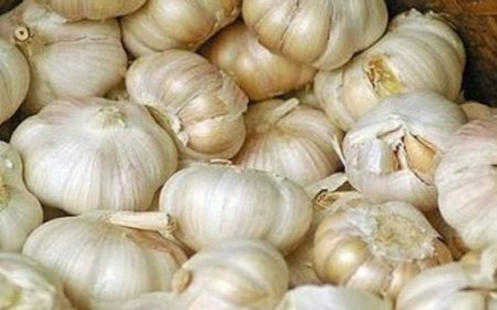 Begini Cara Menurunkan Kolesterol Tinggi dengan Bawang Putih