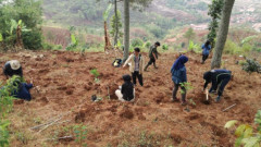 Aksi Tanam Pohon di Gunung Geulis