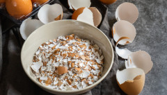 Ini Cara Memanfaatkan Cangkang Telur Dan Kulit Pisang Jadi Pupuk Organik
