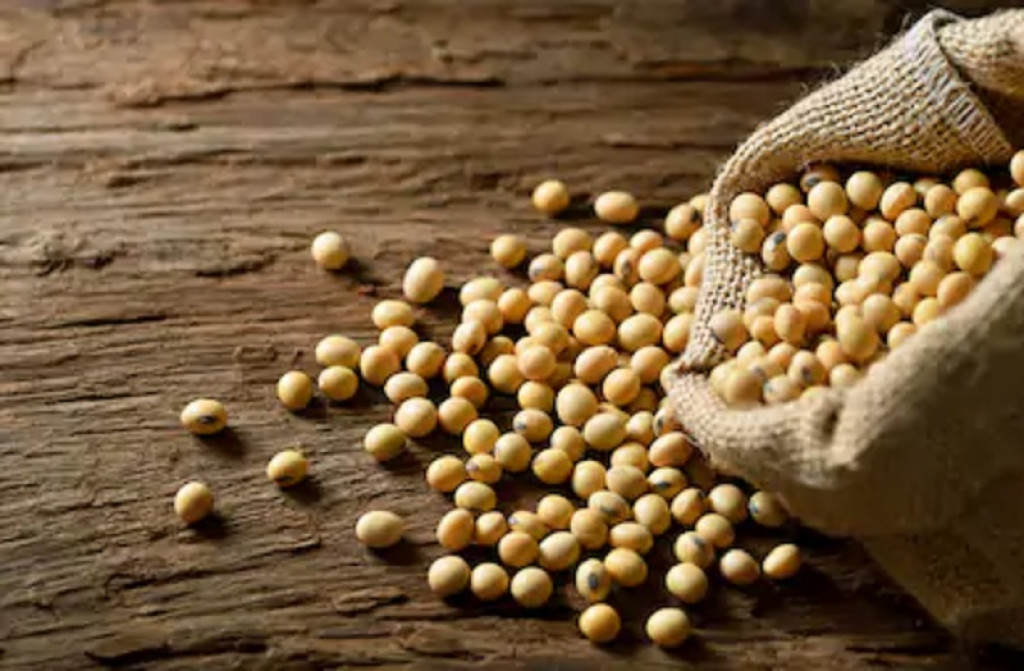 Kemendag Dorong Pemerintah Daerah Intervensi Harga Kedelai dengan APBD