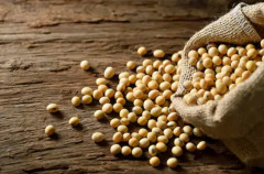 Kemendag Dorong Pemerintah Daerah Intervensi Harga Kedelai Dengan APBD