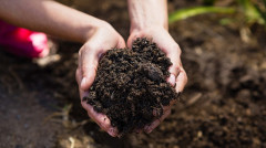 Sebelum Pakai Pupuk Organik, Ketahui Dahulu Kelebihan Dan Kekurangannya!