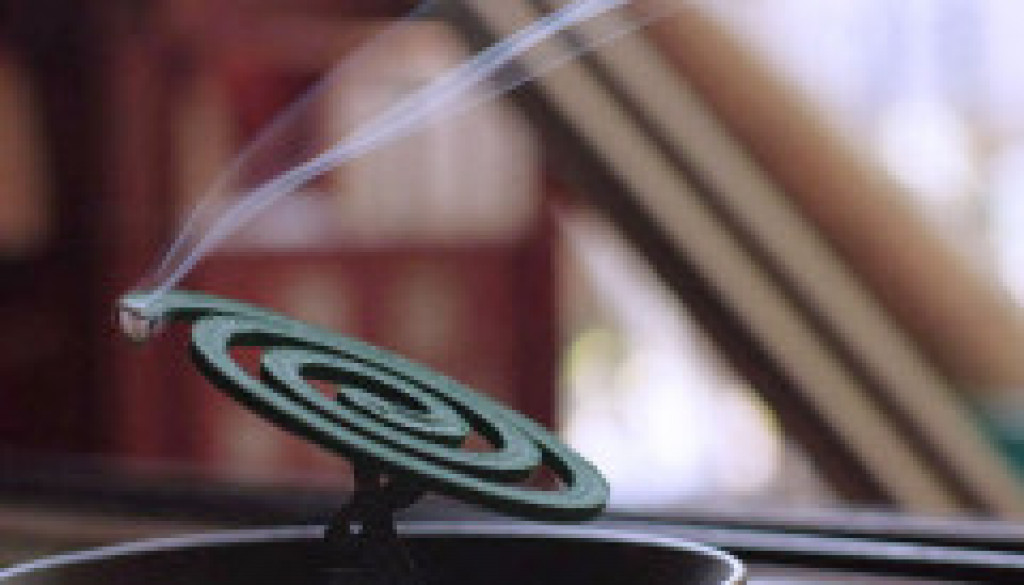 Waspada, Ini 4 Penyakit yang Bisa Timbul dari Penggunaan Obat Nyamuk Bakar