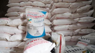 Realisasi Penyaluran Pupuk Bersubsidi Di Jabar Capai 91 Persen