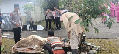 Polres Sumedang Potong Sapi Dalam Rangka Tolak Bala Jelang Pengamanan Nataru