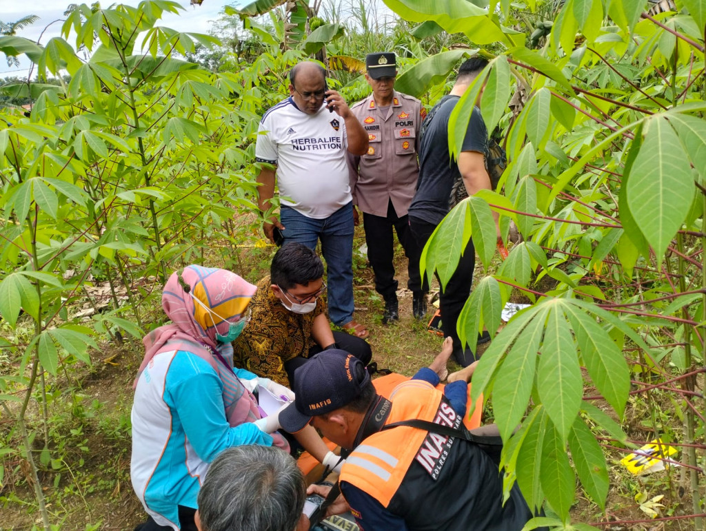 Sesosok Mayat Tanpa Identitas Ditemukan di Kebun Warga
