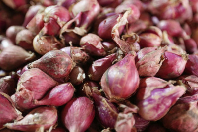 Jelang Puasa Dan Lebaran 2023, Kementan Klaim Stok Bawang Merah Aman