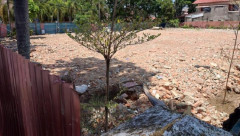 Rumah Singgah Bung Karno di Padang Sumatera Barat Dirobohkan, Mengapa?