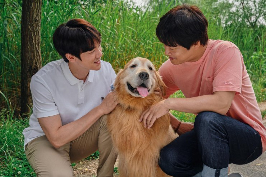 Fakta-fakta Menarik My Heart Puppy, Film Terbaru dari Yoo Yeon Seok