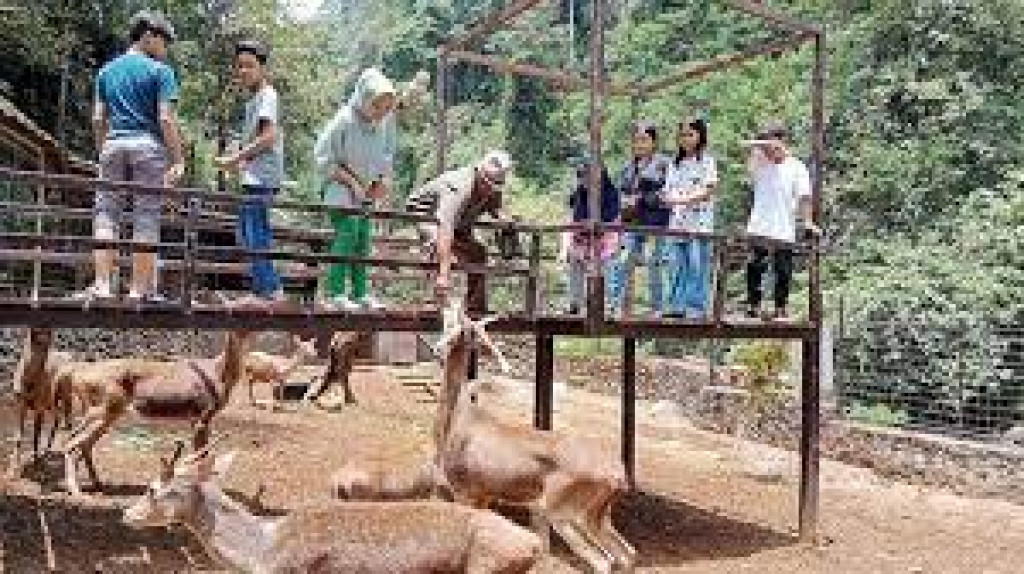 Objek Wisata Kampung Karuhun, Tempat Ngabuburit Sambil Main dengan Rusa