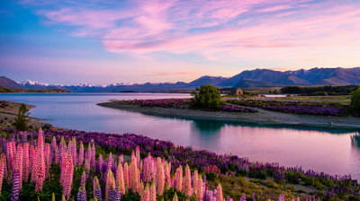 Hadirkan Fanorama Menarik, Ini 4 Tempat Wisata Populer Di Selandia Baru