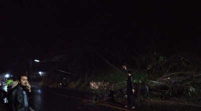Pohon Tumbang Menutupi Jalan Raya Cigendel, Polsek Pamulihan Gerak Cepat Lakukan Evakuasi 