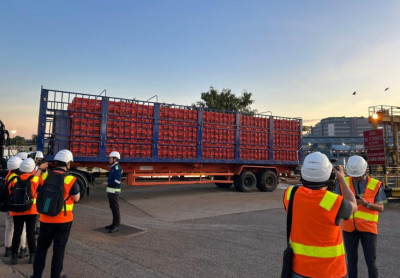 Indonesia Sukses Ekspor Perdana Ayam Hidup Ke Singapura