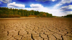 Dampak Krisis Iklim Terhadap Inflasi Pangan: Tantangan Global yang Mendesak