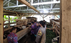 Sambangi Warga, Bhabinkamtibmas Polsek Cibugel Sosialisasikan Tips Cara Pencegahan PMK