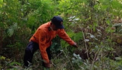 Sekat Bakar akan Dibuat Disekitar Gunung Tampomas