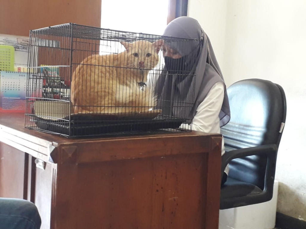 Sumedang Sudah Bebas Rabies