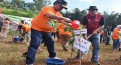 BNPB Tanam 1.000 Pohon di Cimanggung Sumedang