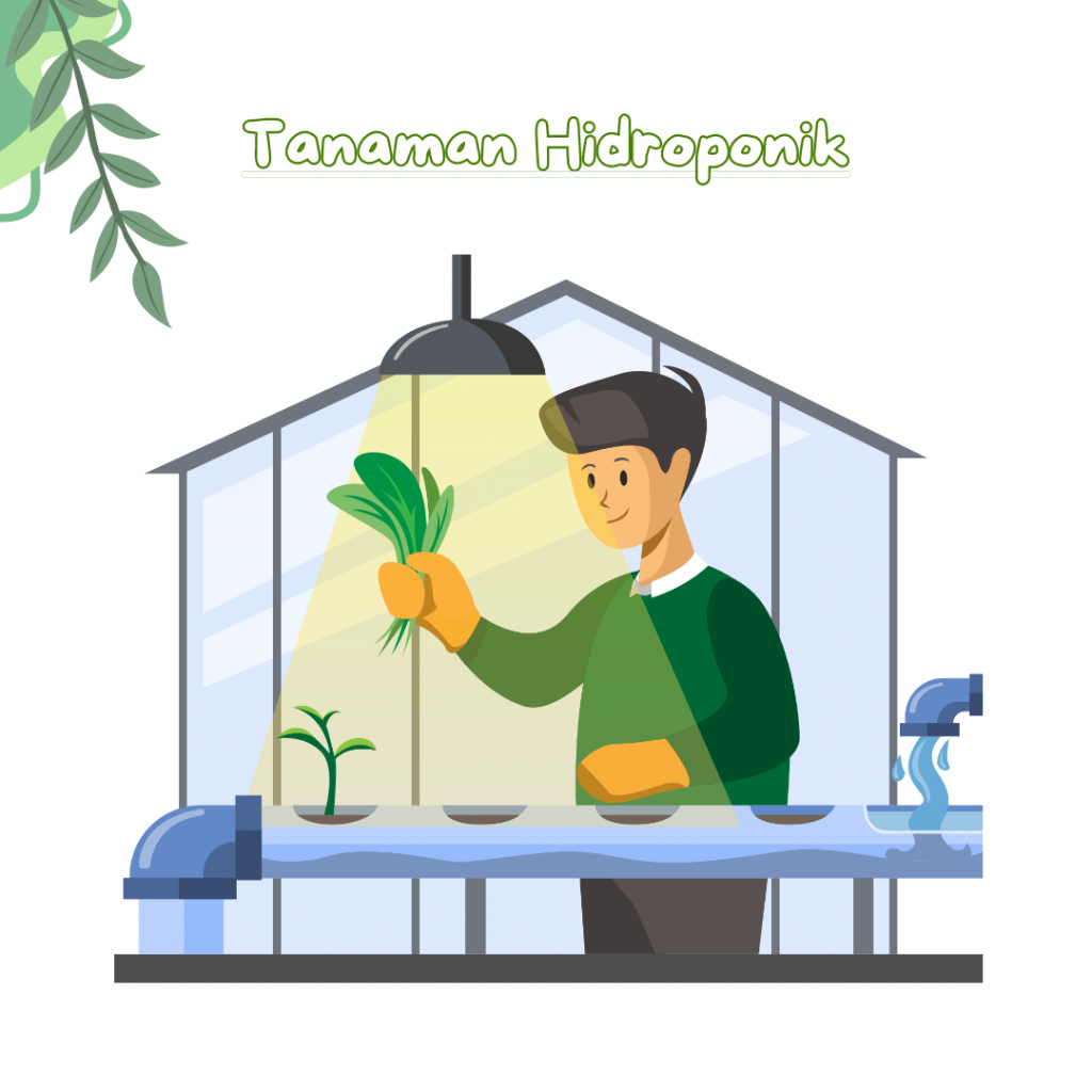 Mengenal Budidaya Tanaman Hidroponik, Bisnis Yang Menguntungkan Dan Ramah Lingkungan
