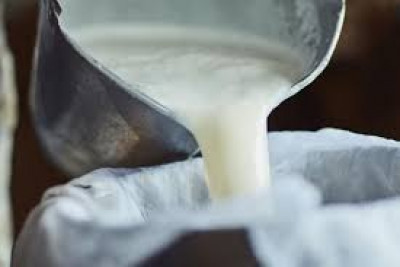 Sederet Manfaat Susu Kerbau Untuk Kesehatan, Kamu Mau Coba?